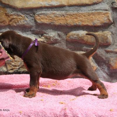 18519924 10213317716961301 4630162609068072865 N