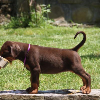 18815269 10213487344881893 1229515680523460617 O