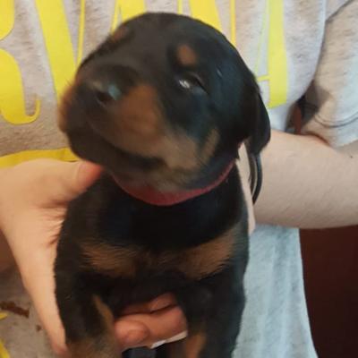 2facf8c6 546b 4d24 A1c1 D0674c4a987c