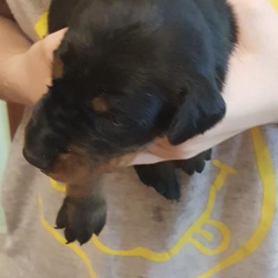 502325ec 5ee7 49aa A184 E98a74968bfa