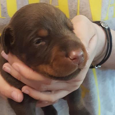 83442d0c 0345 4698 9790 E6c98ef3427f