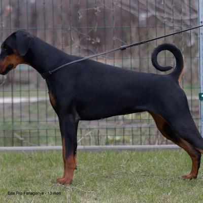 Fb Img 1588614373191