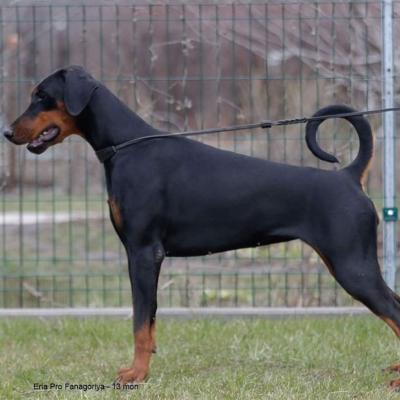 Fb Img 1588614404623